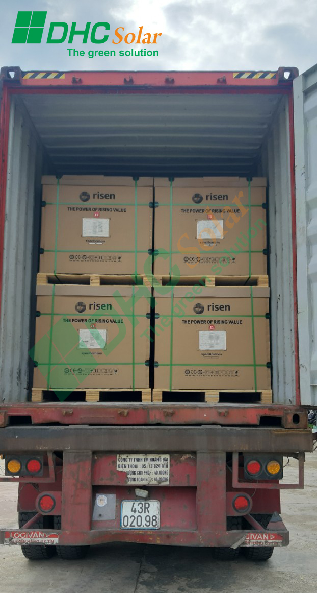 "Dự