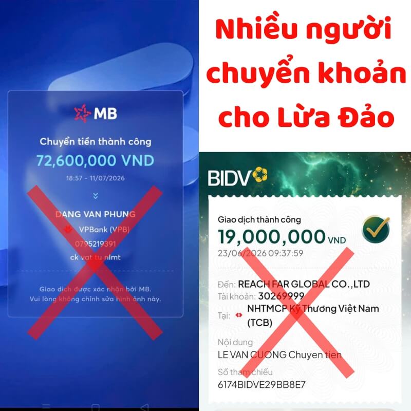 Nhiều người đã chuyển tiền cho bọn lừa đảo